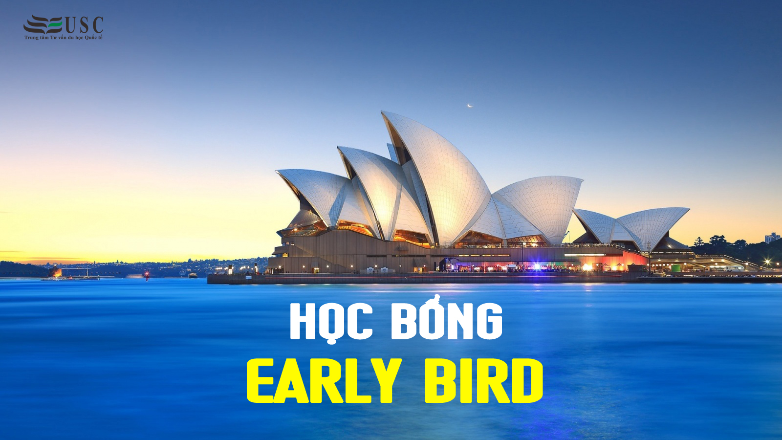 HỌC BỔNG EARLY BIRD TỪ NAVITAS