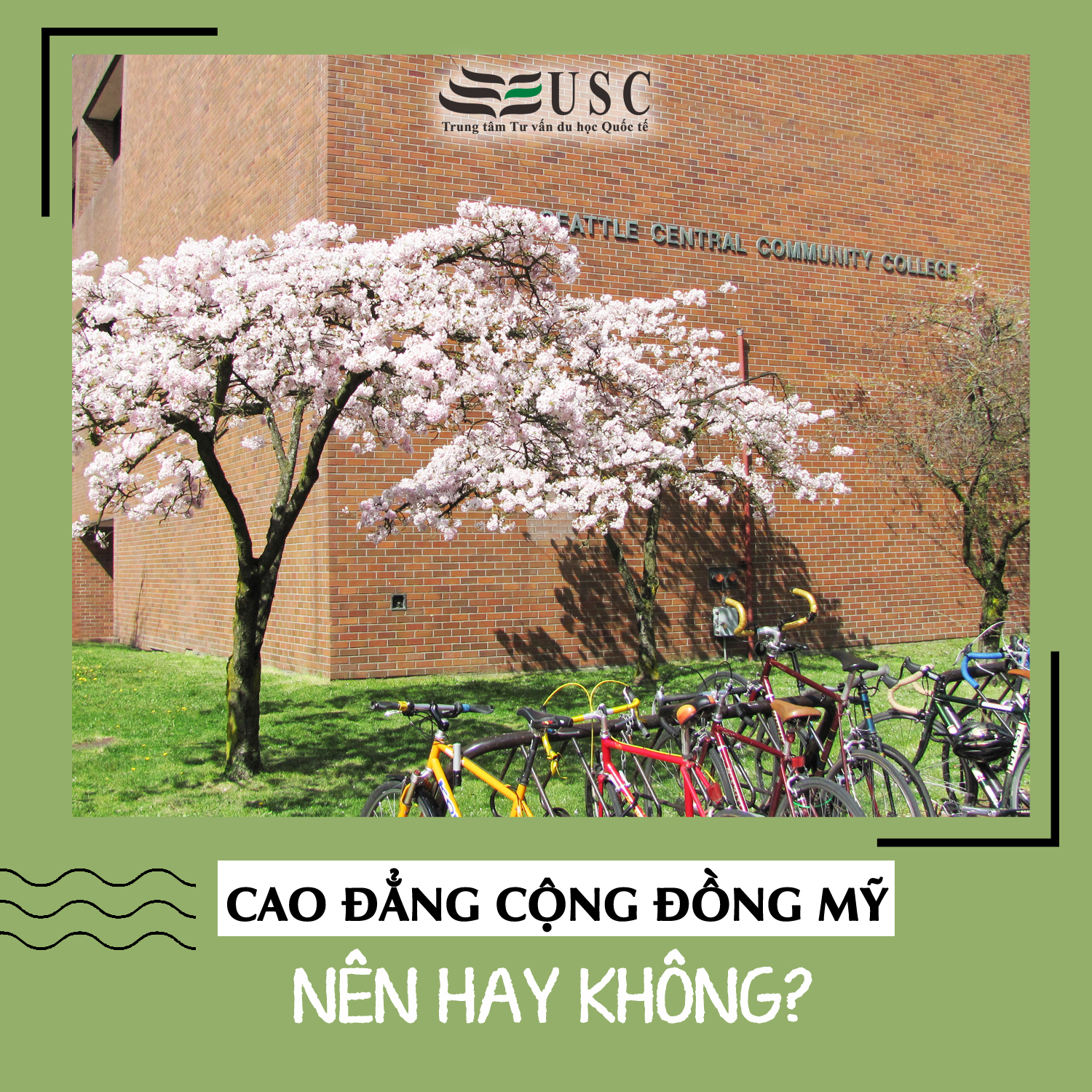 CÓ NÊN HỌC CAO ĐẲNG CỘNG ĐỒNG TẠI MỸ ?