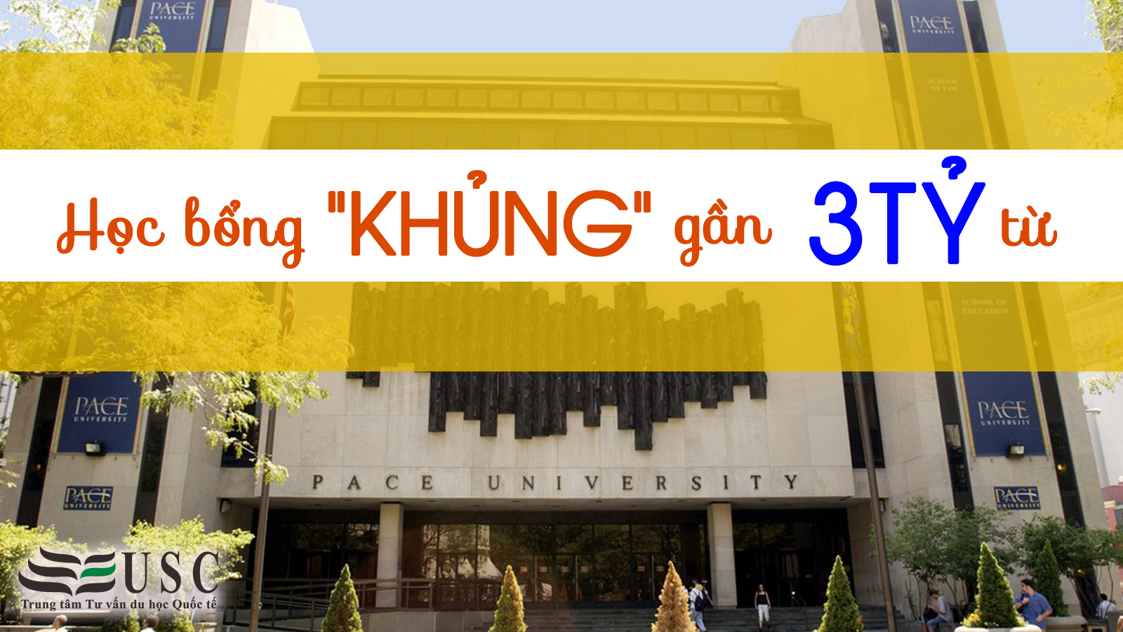 HỌC BỔNG GẦN 3 TỶ ĐỒNG TỪ ĐẠI HỌC PACE- NEW YORK