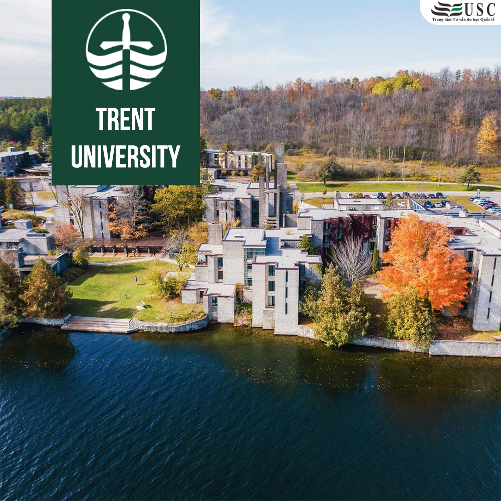 TRENT UNIVERSITY