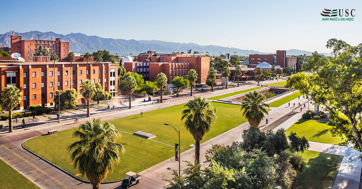 University Of Arizona – Top Trường Đại Học Nghiên Cứu Danh Giá Hàng Đầu Nước Mỹ