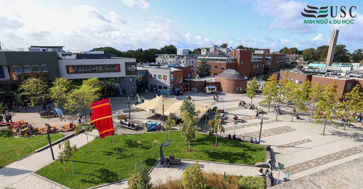 Khám Phá Dublin City University, Ireland: Ươm Mầm Tài Năng, Kiến Tạo Tương Lai!