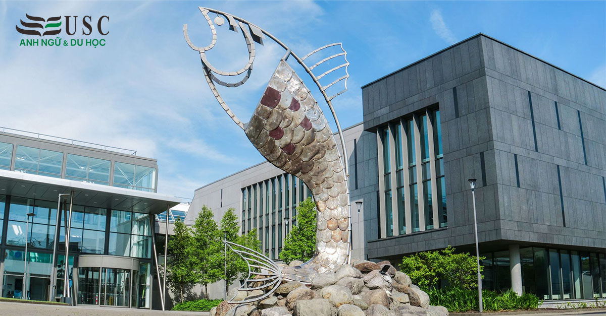 Học viện Công nghệ Sligo: Bệ phóng vững chắc cho du học sinh tại Ireland