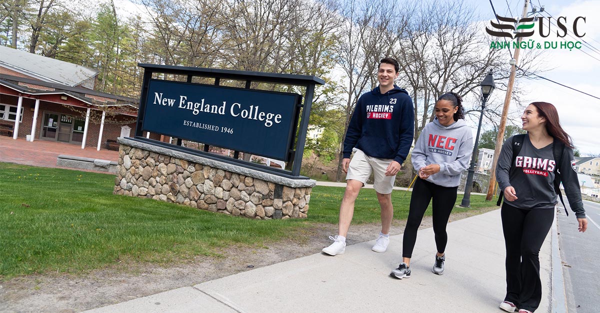 New England College: Môi Trường Học Tập Đa Dạng Nhất New Hampshire