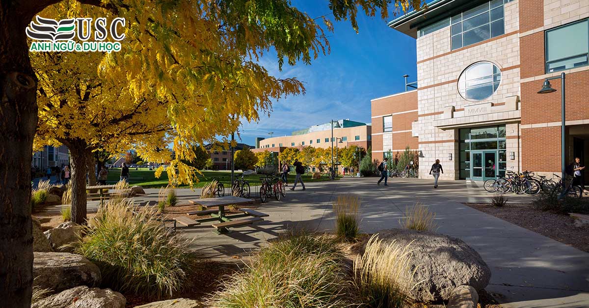 Colorado Mesa University: Ngôi Trường Công Lập Mỹ Đáng Để Bạn Tìm Hiểu