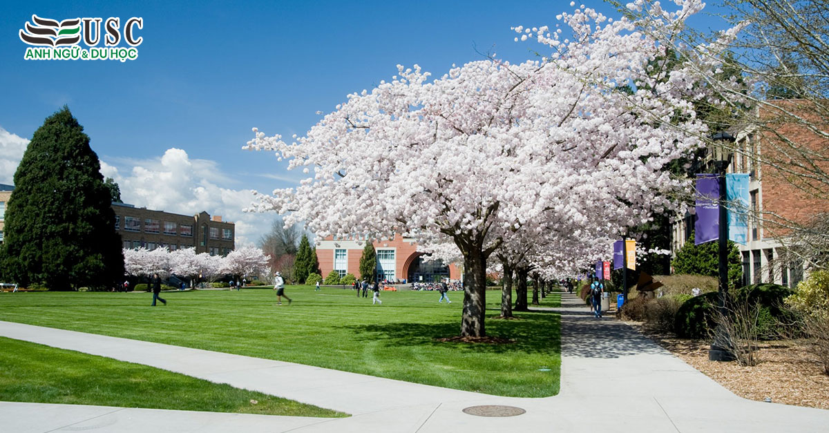 TỔNG QUAN VỀ UNIVERSITY OF PORTLAND: HÀNH TRÌNH KHÁM PHÁ NGÔI TRƯỜNG LÂU ĐỜI TẠI OREGON