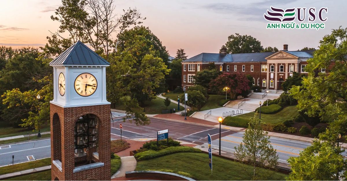 Tại Sao UNC Greensboro Là Lựa Chọn Hàng Đầu Của Bạn?