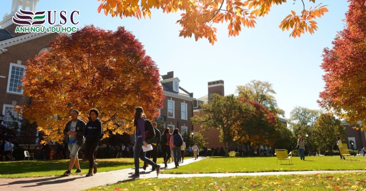 Khám Phá Johns Hopkins University: Một Trong Những Đại Học Y Hàng Đầu Thế Giới