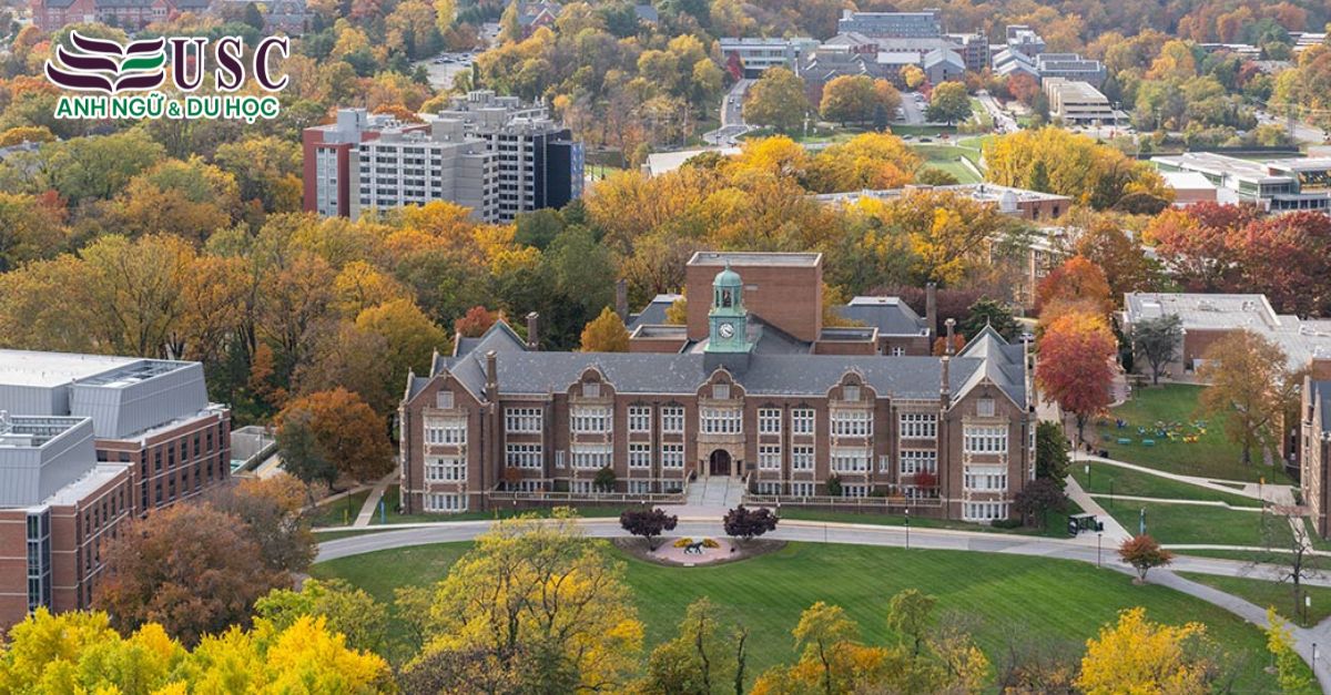 Khám Phá Towson University: Đại Học Công Lập Hàng Đầu Tại Maryland!