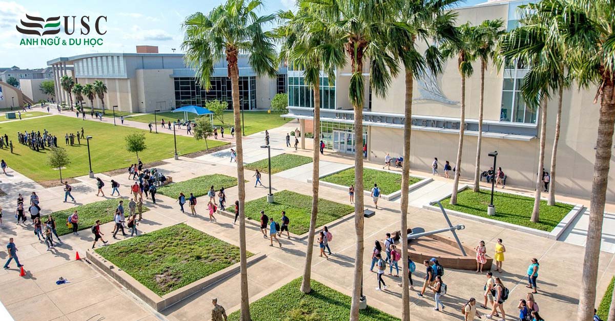 Texas A&M University – Corpus Christi