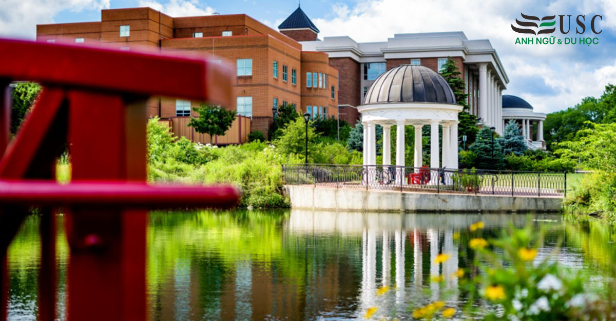 Shenandoah University