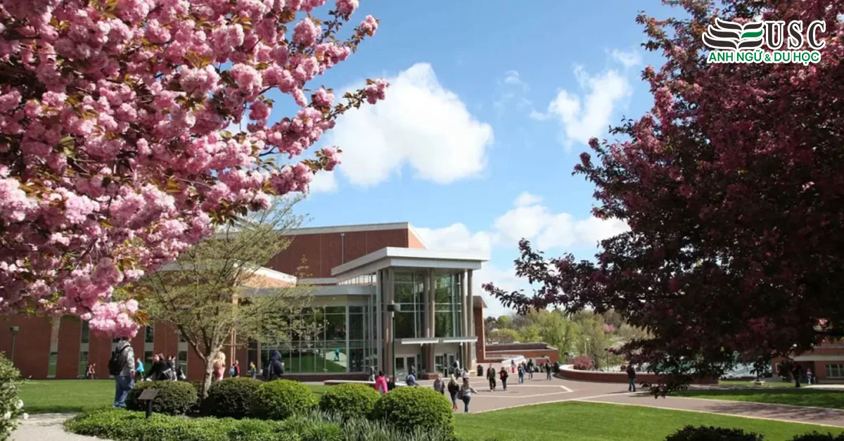 Khám Phá York College of Pennsylvania: Nơi Gắn Kết Học Thuật và Thực Tiễn