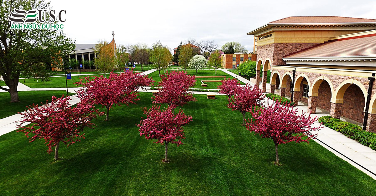 Du Học Mỹ: Khám Phá Dakota Wesleyan University