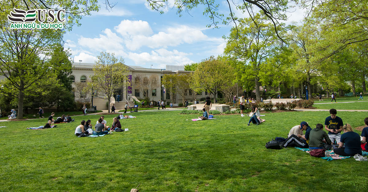 American Collegiate Washington D.C (American Collegiate DC)
