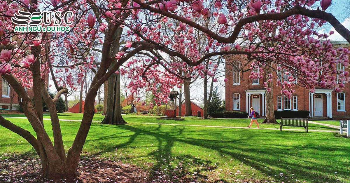 Eureka College, USA