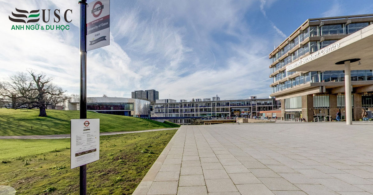 University of Essex International College