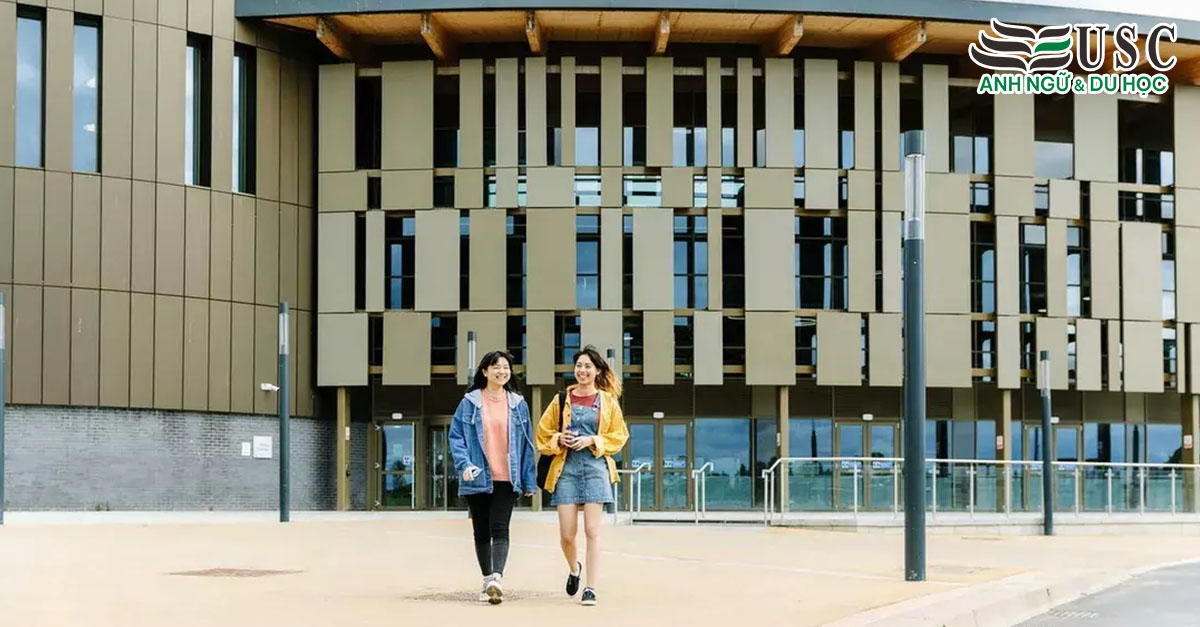 Lộ Trình Thành Công Tại Đại Học York: Khám Phá University of York International Pathway College