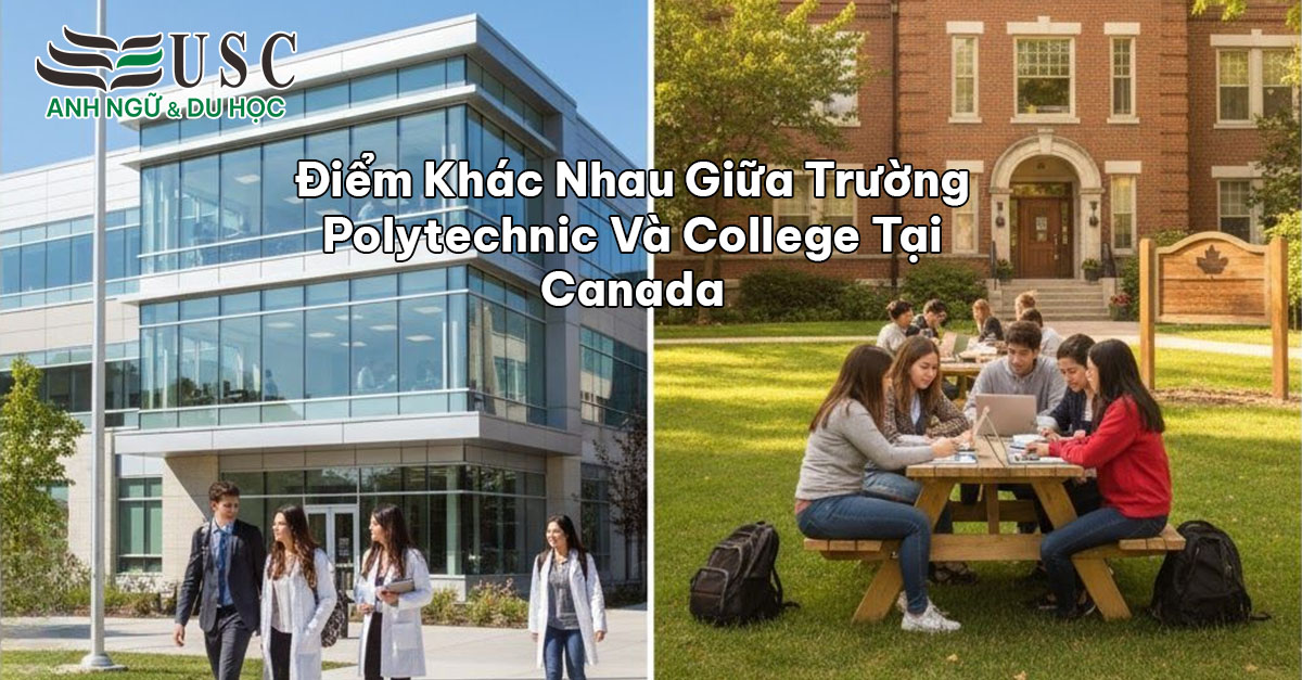 Điểm Khác Nhau Giữa Trường Polytechnic Và College Tại Canada