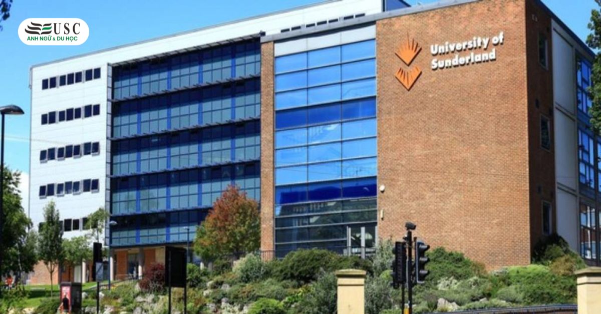 Lộ Trình Chuyển Tiếp University of Sunderland: Bước Đệm Vững Chắc Tới Tương Lai