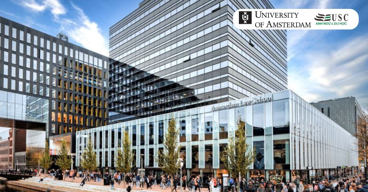 Chinh Phục University of Amsterdam: Lộ Trình Chuyển Tiếp Hoàn Hảo Vào Top 15 Châu Âu
