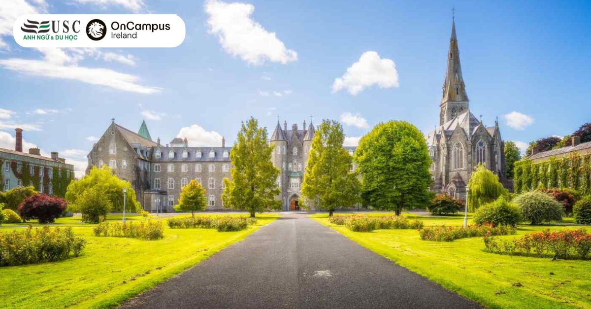 Oncampus Ireland: Lộ Trình Vàng Chuyển Tiếp Vào Các Đại Học Hàng Đầu Tại Ireland